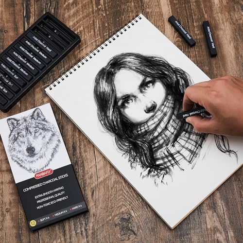 Charcoal Drawing Set: PANDAFLY 12 Compressed & Vine Sticks