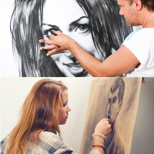 Charcoal Drawing Set: PANDAFLY 12 Compressed & Vine Sticks