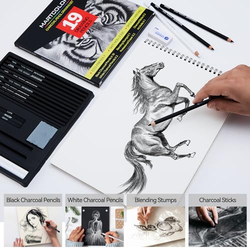 Charcoal Drawing Set: 19 Pieces for Artists