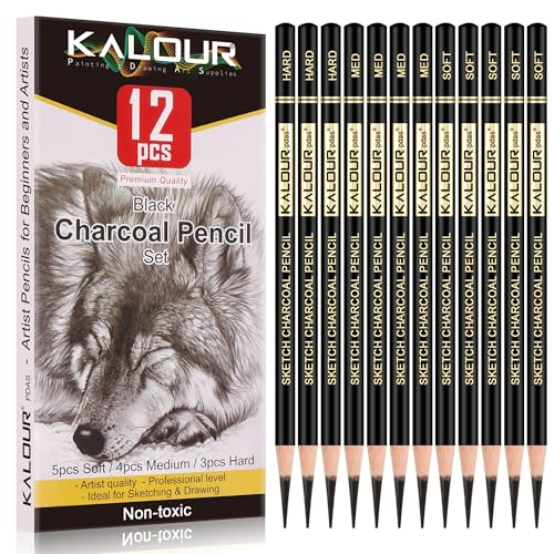 KALOUR Charcoal Pencils Set - 12 Pieces for Artists