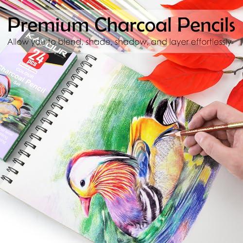 Premium Charcoal Pencils Set for Artists - 24 Colors