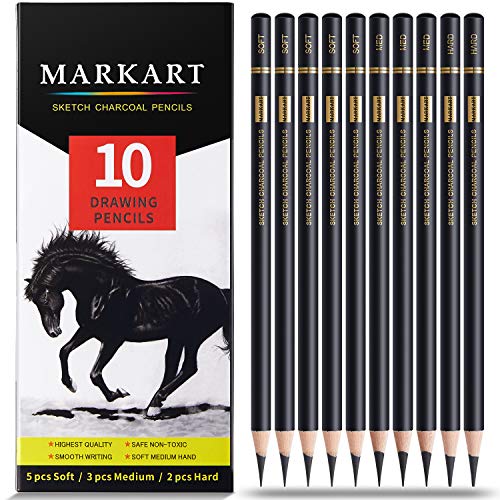Professional Charcoal Pencils Set - 10 Pieces