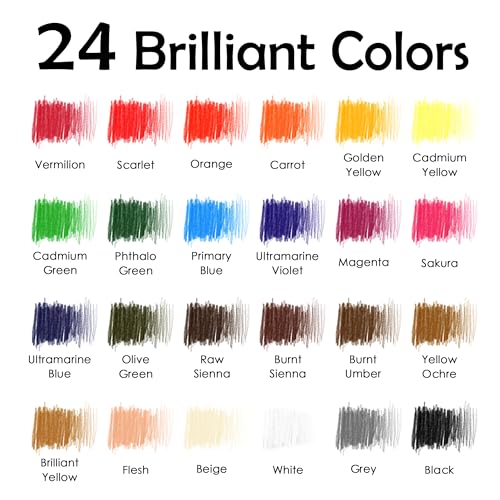 Premium Charcoal Pencils Set for Artists - 24 Colors