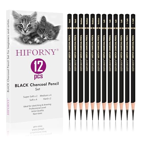 12-Piece Charcoal Pencils Set for Drawing & Sketching