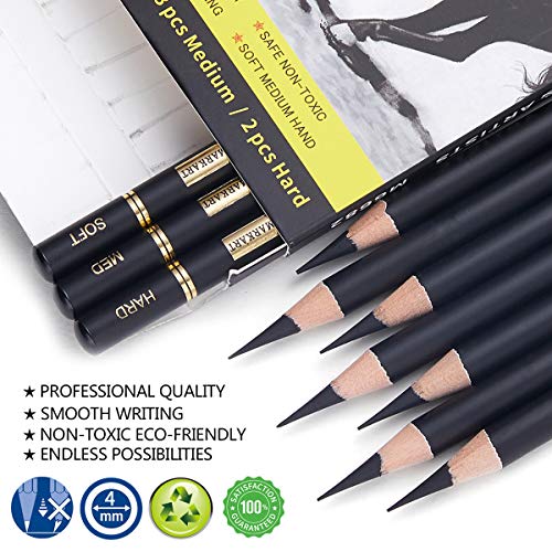 Professional Charcoal Pencils Set - 10 Pieces
