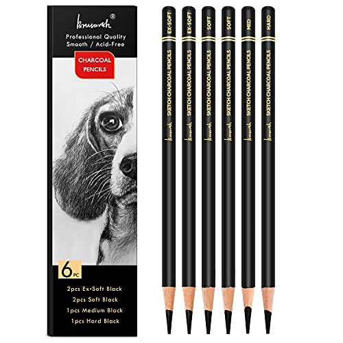 Professional Charcoal Pencils Set for Drawing & Sketching
