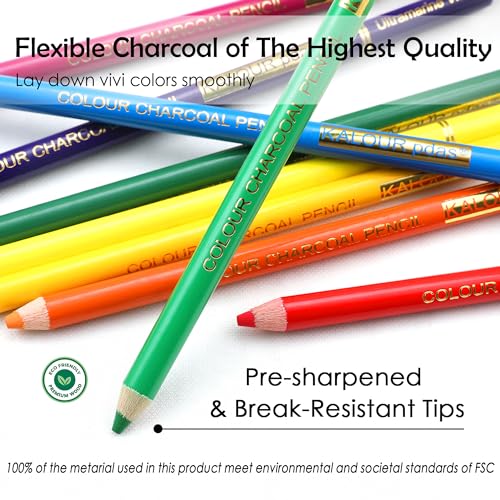 Premium Charcoal Pencils Set for Artists - 24 Colors