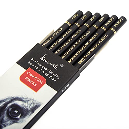Professional Charcoal Pencils Set for Drawing & Sketching