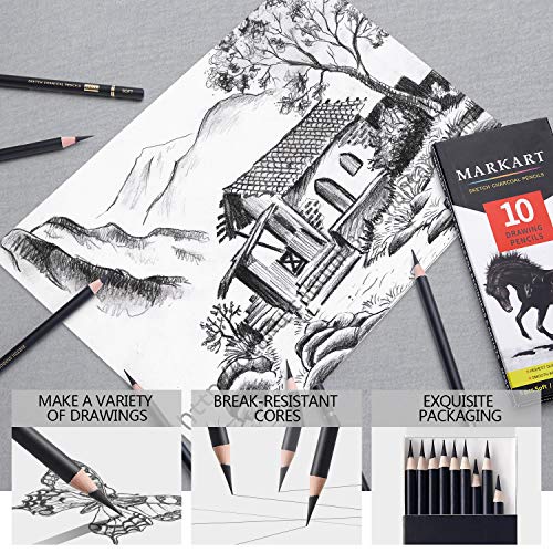 Professional Charcoal Pencils Set - 10 Pieces
