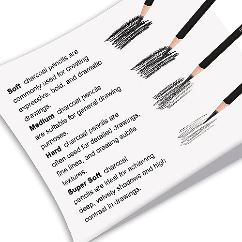 12-Piece Charcoal Pencils Set for Drawing & Sketching