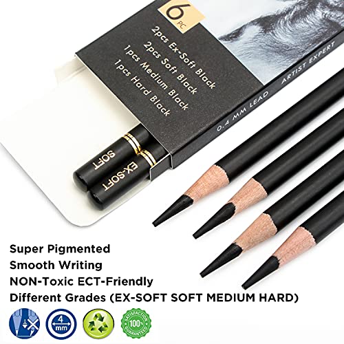 Professional Charcoal Pencils Set for Drawing & Sketching