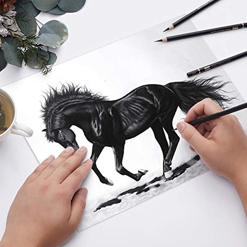 Professional Charcoal Pencils Set - 10 Pieces