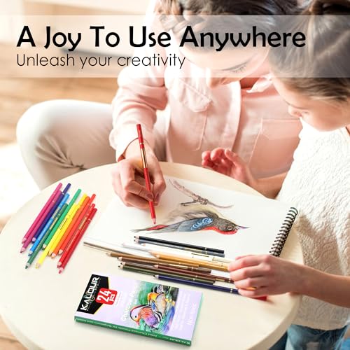 Premium Charcoal Pencils Set for Artists - 24 Colors