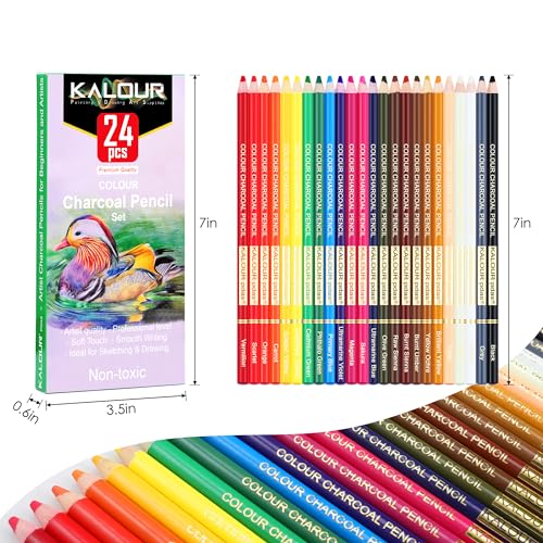 Premium Charcoal Pencils Set for Artists - 24 Colors