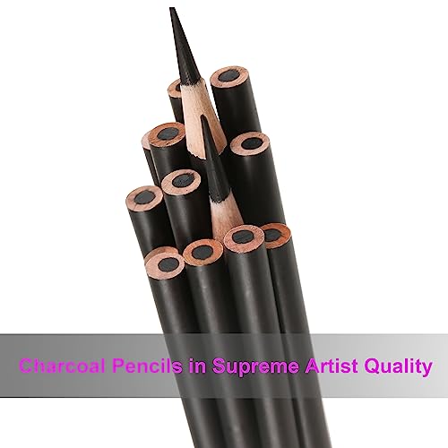 12-Piece Charcoal Pencils Set for Drawing & Sketching