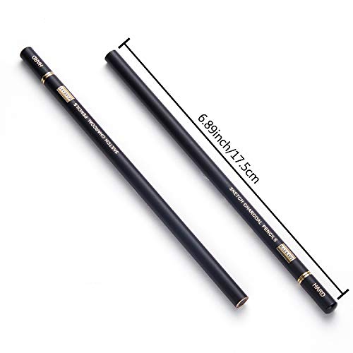 Professional Charcoal Pencils Set - 10 Pieces