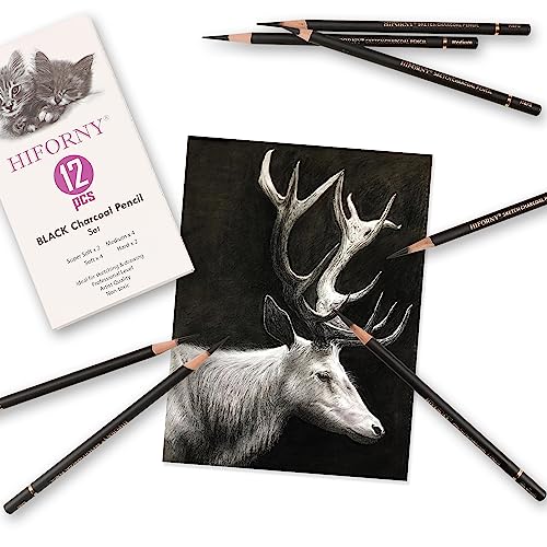 12-Piece Charcoal Pencils Set for Drawing & Sketching