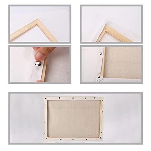 Caydo Canvas Stretcher Bars Kit, 12x16 Inch