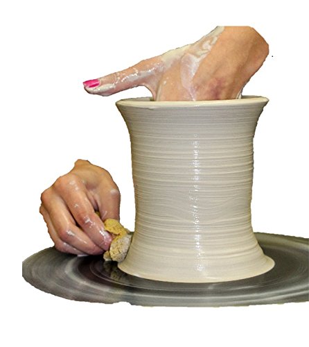 50 lbs Mid-High Fire White Pottery Clay