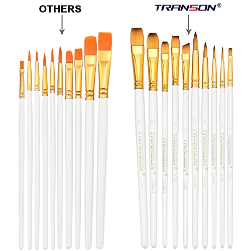 Transon 20pcs Premium Artist Brush Set