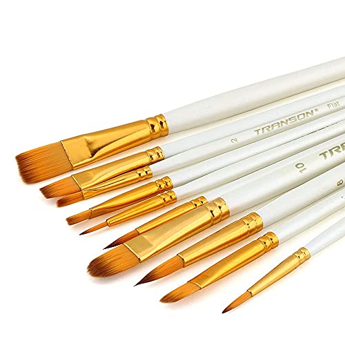 Transon 20pcs Premium Artist Brush Set