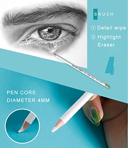 Professional Eraser Pencil Set for Artists