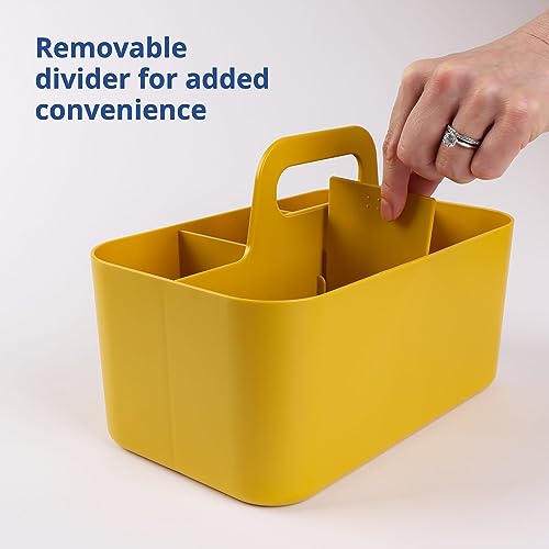 Blue Ginkgo Stackable Plastic Art Organizer Tote