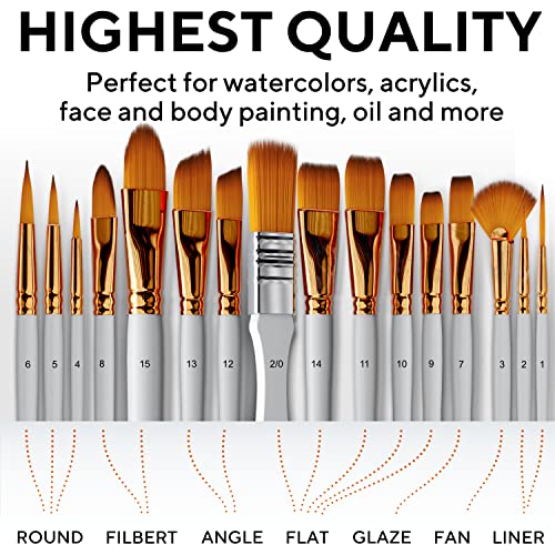 16-Piece Artist Paint Brush Set with Bonus Accessories