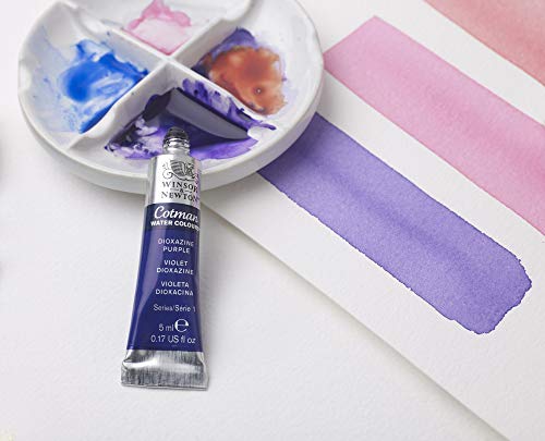 20-Color Winsor & Newton Watercolor Paint Set