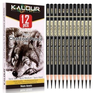 KALOUR Charcoal Pencils Set - 12 Pieces for Artists