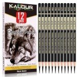 KALOUR Charcoal Pencils Set - 12 Pieces for Artists