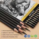KALOUR Charcoal Pencils Set - 12 Pieces for Artists