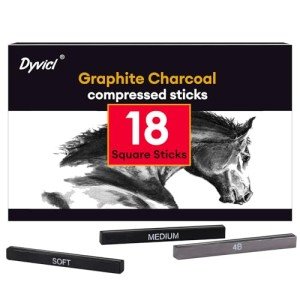 Dyvicl Graphite Charcoal Sticks - Pack of 18