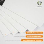 CONDA Canvas Board 8x10 inch 12 Pack Artist Panels