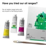 Winsor & Newton Painting Medium - 250ml Bottle