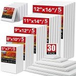 30 Pack Canvases with Assorted Sizes for Painting