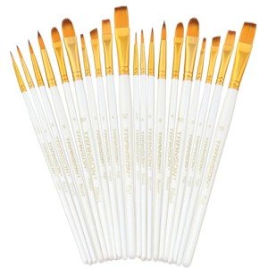 Transon 20pcs Premium Artist Brush Set