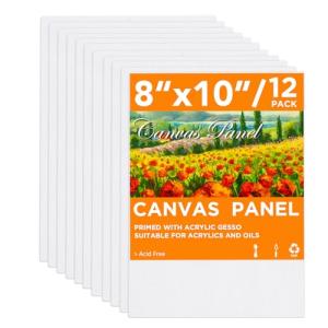 CONDA Canvas Board 8x10 inch 12 Pack Artist Panels