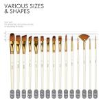 ARTIFY 15 PC Paint Brush Set: Intermediate Series