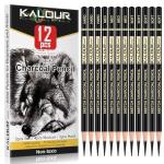 KALOUR Charcoal Pencils Set - 12 Pieces for Artists