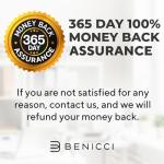 12-Piece Professional Paint Brush Set - Ideal for All Painting Styles