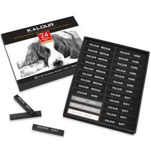 24-Piece Charcoal Drawing Set for Artists - Beginner Gift