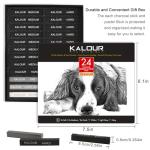 24-Piece Charcoal Drawing Set for Artists - Beginner Gift