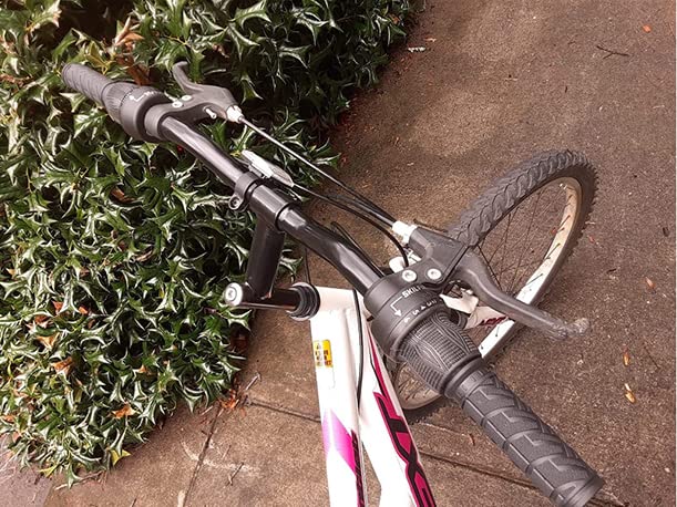 MEGHNA 18 Speed Bicycle Twist Shifter Set