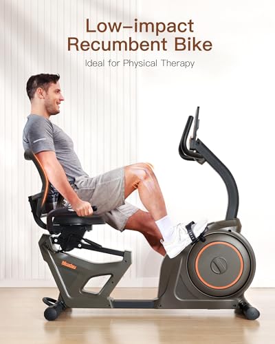 Niceday Recumbent Exercise Bike for Home Gym