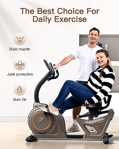 Niceday Recumbent Exercise Bike for Home Gym