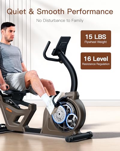 Niceday Recumbent Exercise Bike for Home Gym
