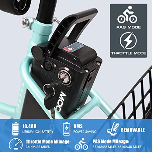 Electric Tricycle Trike for Adults - 350W, 36V, Removable Battery