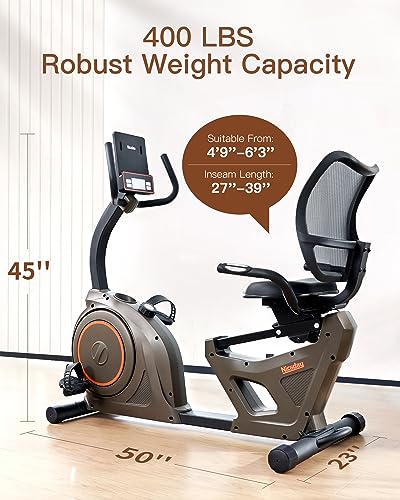 Niceday Recumbent Exercise Bike for Home Gym