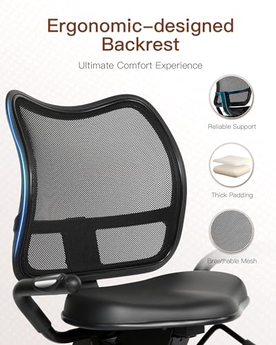 Niceday Recumbent Exercise Bike for Home Gym